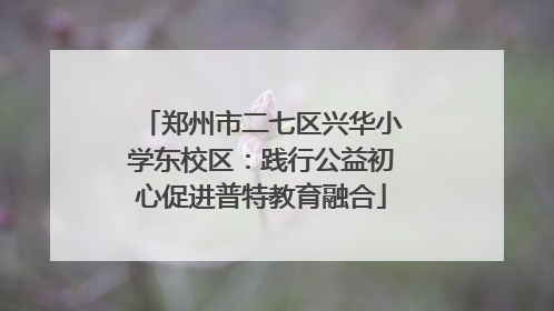 郑州市二七区兴华小学东校区：践行公益初心促进普特教育融合
